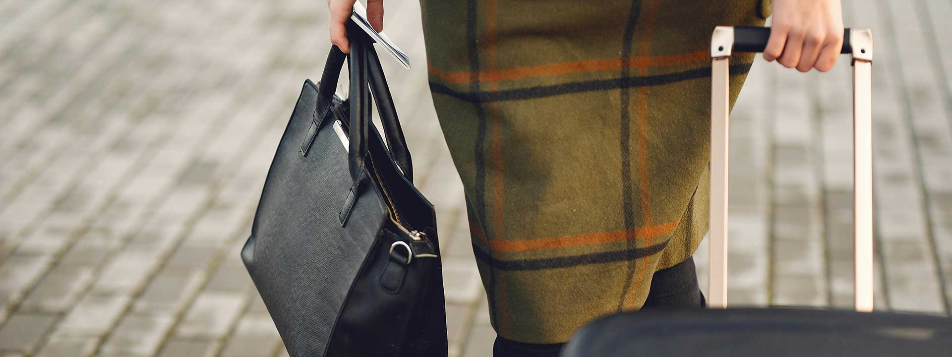 Bagage Skaneaviation